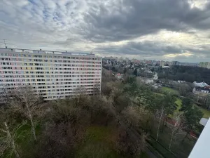 Pronájem bytu 1+1, Praha, Jílovská, 34 m2