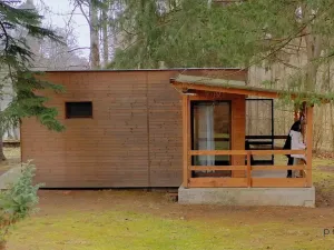 Prodej rodinného domu, Chlum u Třeboně, 462 m2