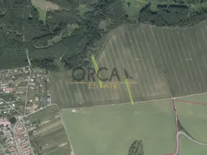 Prodej pole, Alojzov, 5248 m2