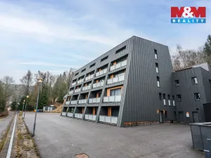 Prodej bytu 1+kk, Janov nad Nisou, 25 m2