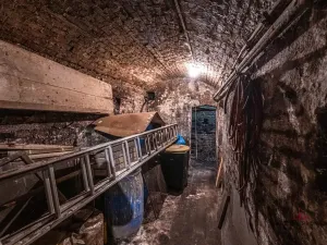 Prodej rodinného domu, Litoměřice, Dolní Rybářská, 160 m2