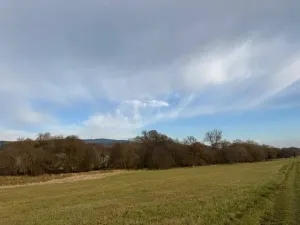 Prodej pozemku, Chvalšiny, 21761 m2