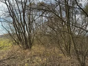 Prodej pozemku, Chvalšiny, 21761 m2