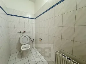 Pronájem bytu 4+kk, Brno, 120 m2