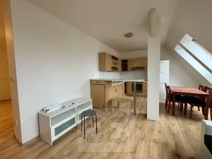 Pronájem bytu 4+kk, Brno, 120 m2