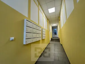 Pronájem bytu 4+kk, Brno, 120 m2