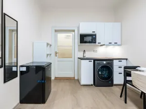 Prodej bytu 1+kk, Praha - Vyšehrad, Neklanova, 23 m2