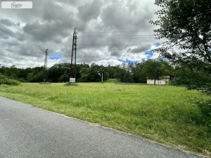 Prodej louky, Týn nad Vltavou, Hněvkovice na pravém břehu Vlt., 1648 m2