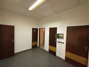 Prodej obchodního prostoru, Nová Paka, Achátová, 80 m2