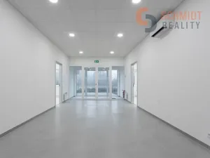 Pronájem ordinace, Břeclav, U Nemocnice, 234 m2