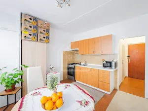 Prodej bytu 1+1, Rokycany, Pod Ohradou, 35 m2