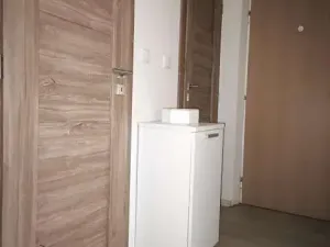 Pronájem bytu 2+1, Most, Zdeňka Fibicha, 56 m2