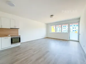 Prodej bytu 1+kk, České Budějovice, Chelčického, 41 m2