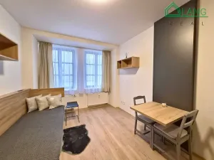 Pronájem bytu 1+kk, Brno, Francouzská, 20 m2
