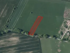 Prodej pole, Nová Cerekev, 2914 m2