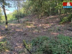 Prodej pozemku pro bydlení, Bílina, 1101 m2