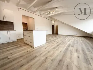 Prodej bytu 3+kk, České Budějovice, K. Weise, 124 m2