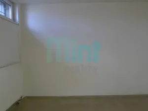 Pronájem skladu, Ostrava, Teslova, 348 m2