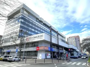 Pronájem kanceláře, Praha - Holešovice, Dělnická, 1252 m2