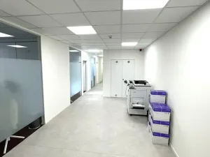 Pronájem kanceláře, Praha - Holešovice, Dělnická, 1252 m2