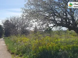 Prodej pozemku pro bydlení, Vrbnik, Chorvatsko, Ulica Potočina, 625 m2