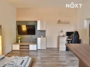 Pronájem bytu 1+kk, České Budějovice, K. V. Raise, 30 m2