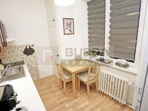 Pronájem bytu 2+1, Mělník, Oldřicha Wenzla, 55 m2