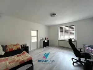 Prodej bytu 1+1, Teplice, 14. října, 42 m2