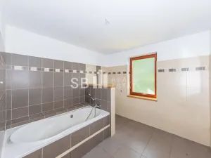 Prodej rodinného domu, Borová, 230 m2