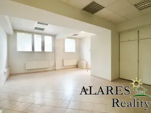 Pronájem kanceláře, Praha, Kremnická, 48 m2