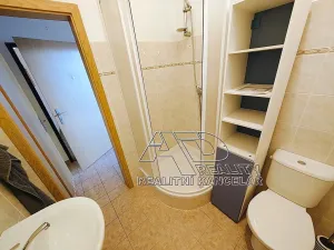 Pronájem bytu 1+1, České Budějovice, Husova tř., 40 m2