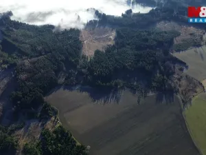 Prodej lesa, Bohdalov, 34642 m2