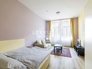 Pronájem bytu 1+1, Praha - Vinohrady, Máchova, 40 m2