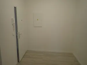 Pronájem bytu 3+kk, Liberec - Liberec III-Jeřáb, Americká, 94 m2