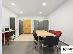 Prodej výrobních prostor, Račice-Pístovice, 479 m2