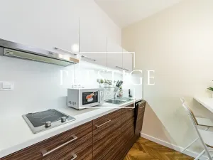Pronájem bytu 1+kk, Praha - Nové Město, Myslíkova, 27 m2