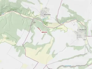 Dražba lesa, Ivančice, 741 m2