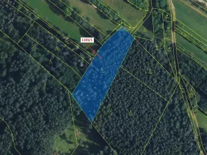 Dražba lesa, Žďárec, 3474 m2