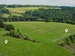 Prodej louky, Radiměř, 209373 m2