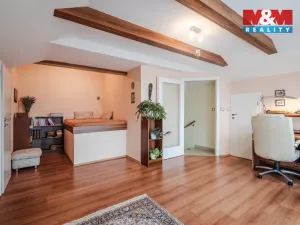 Prodej rodinného domu, Týnec nad Labem - Vinařice, 300 m2