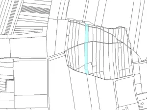 Prodej lesa, Staňkov, 4433 m2