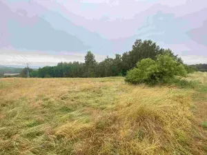 Prodej pole, Nové Sedlo - Loučky, 49321 m2