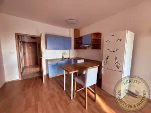 Prodej bytu 1+kk, Praha - Řeporyje, Wiesenthalova, 38 m2