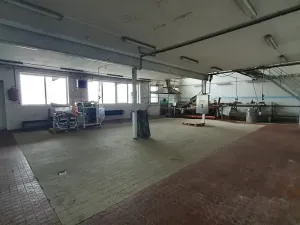 Prodej výrobních prostor, Nížkov, 7316 m2