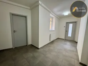 Prodej bytu 1+1, Praha - Libeň, Zenklova, 94 m2