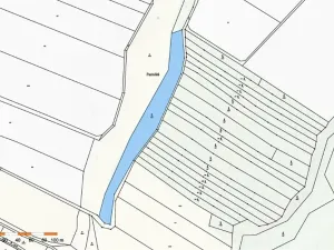 Prodej lesa, Dolní Vilémovice, 6622 m2