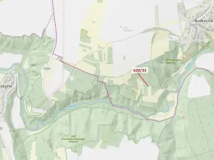 Dražba louky, Ivančice, 41 m2