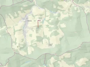 Dražba lesa, Zděchov, 867 m2