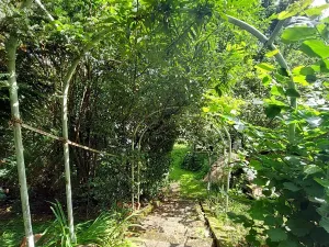 Prodej zahrady, Praha - Sedlec, 3200 m2