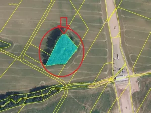 Prodej podílu lesa, Nová Paka, 2049 m2